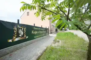 Sery Gus Mini-Hotel, Bagrationovsk