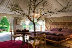 Glamping Canonici di San Marco, Mirano