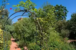 Il Glicine La Piana dei Colli, Lido di Mondello