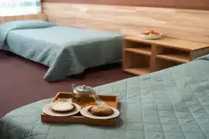 Zarechnaya Hotel, Petrozavodsk