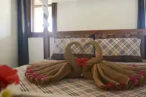 Maisha Nungwi, Nungwi