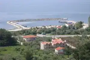 Amarilia, Skala Rachoniou