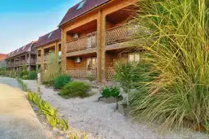 Terra Teana, Mysovoye