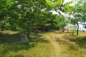 GeoCamp Black Sea, Kobuleti