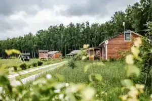 Usadyba Kuzymischevo Baza Otdykha, Kuzmishchevo