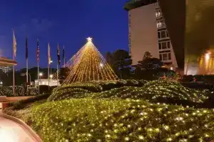 Imperial Hotel Tokyo , Tokyo