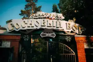 Sanatorium Sosnovyy bor, Zudilovo
