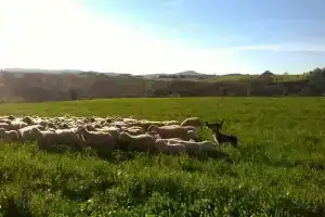 Agriturismo Vallerana, Capalbio