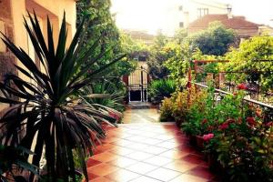 Diana Guesthouse, Corce