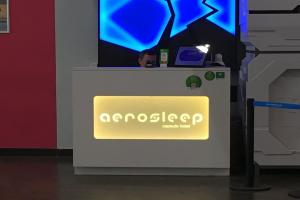 aerosleep Terminal D-obshchaya zona Hostel, Khimki