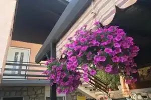 Guest House «Enzo», Icici