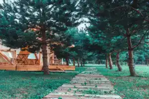 Lama Park Glamping, Kaliningrad