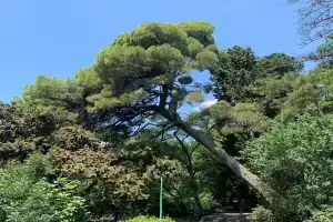 Mishorskiy park Hotel, Miskhor