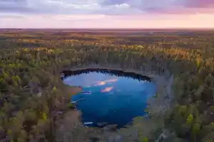 Forest Lake Glamping, Molodyozhnoye