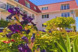 Private Home Strana Chudes Guest house, Shtormove