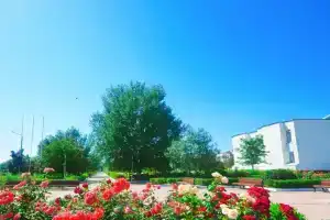 Medvedevo - Hotels