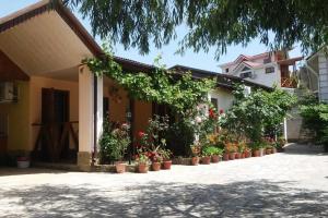 Guest House Usadba Glitsiniya, Koktebel