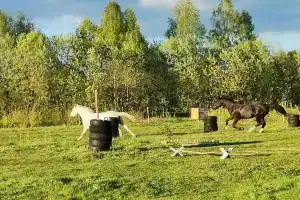 Ladnoe Farm, Volgorechensk
