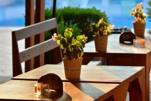 Te Stela Resort, Tirana