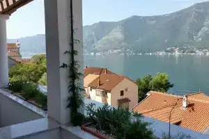 Villa Olivia, Kotor