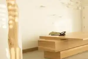 Aelia Wellness Retreat, Nicosia