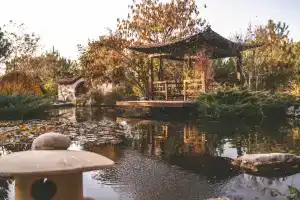 Uzumfermer Mini-hotel, Tashkent