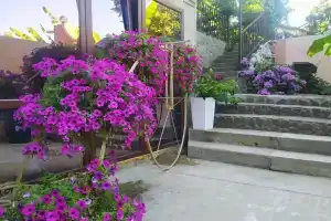 Marsel Guest house, Adler