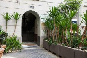 La Lepre Felice, Naples