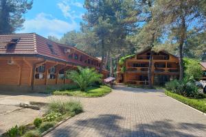 Sosnovyy bor Guest house, Pitsunda