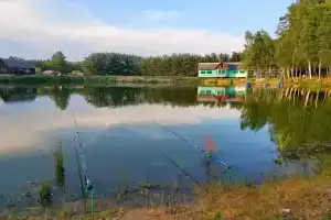 Derevnya Hodatelevo Guest house, Noginsk