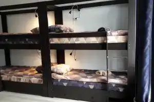 Bearloga Hostel, Volgograd