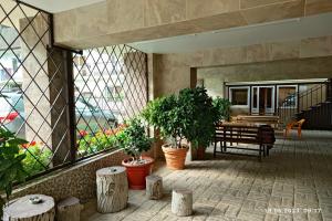 Svetlana Guest house, Pitsunda