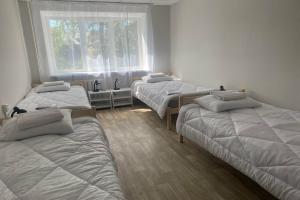 Jarvi Hostel, Segezha