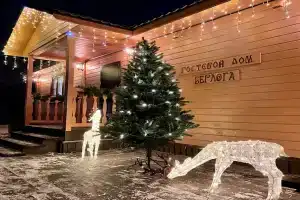 Berloga Guest House, Medvezhyegorsk