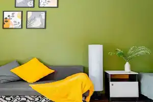 Guest House Kiparis, Pitsunda