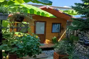 u Levy Guest house, Gagra