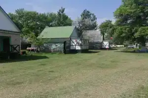 Rybolovnaya baza Kamyshovyy ray Tourist base, Dianovka