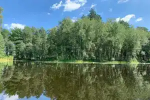 Lesnaya Tourist base, Tambov