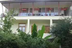 Guest House Mango