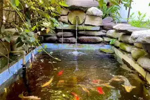 Viktori Mini-hotel, Lazarevskoye