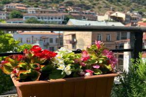 Sharden Villa Boutique Hotel, Tbilisi