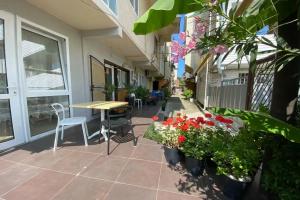 Yard Guest house, Lazarevskoye