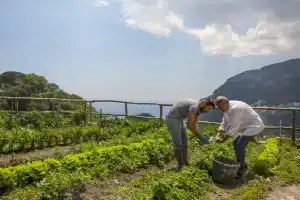 Villa Maria Hotel, Ravello