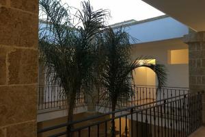 Tenuta Aletheia B&B, Alliste