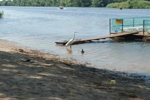 Spektr Cottage, Engels