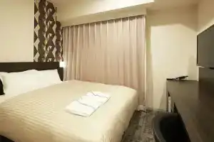 Sotetsu Fresa Inn Kitahama, Osaka
