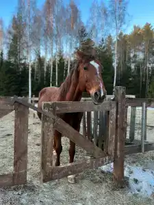 Glintwood Recreation Center - 36