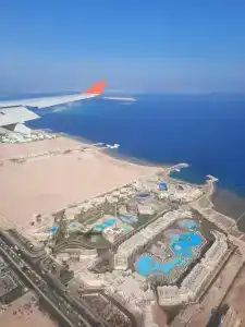 Beach Albatros Resort - 39