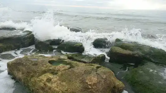 Morskaya Volna Guest house - 57