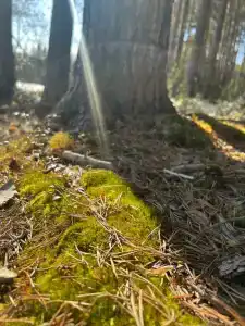 Kanda-Viking Tourist base - 23